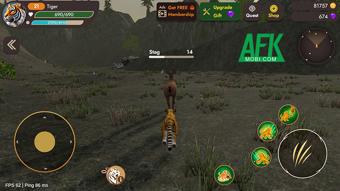 Immortal Tiger: MMORPG đưa bạn bắt đầu hành trình trở thành thú săn mồi tối thượng