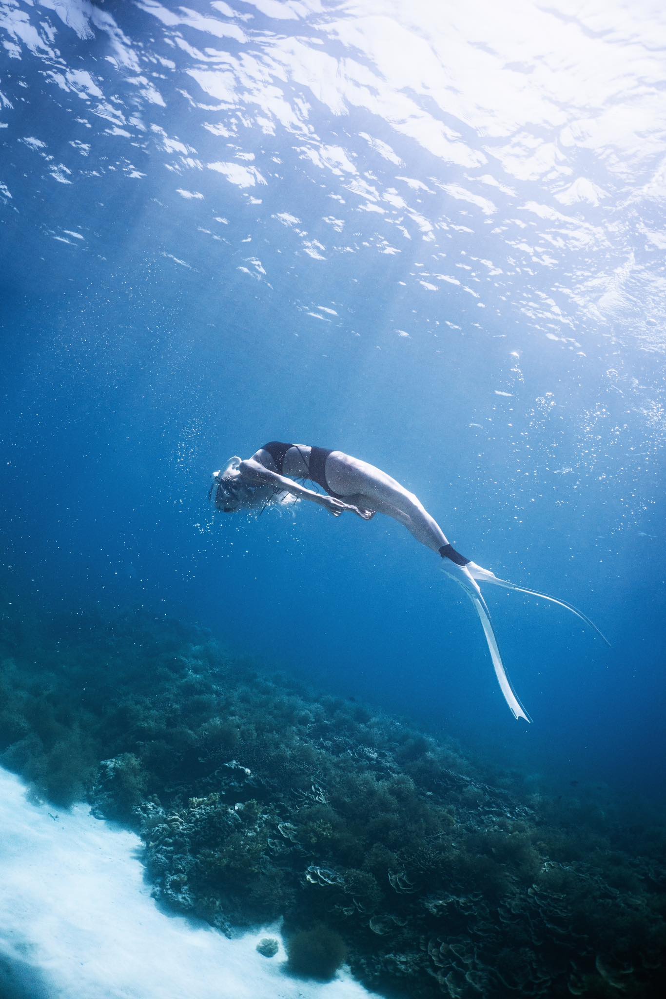 Alicia Meow Alicia Meow