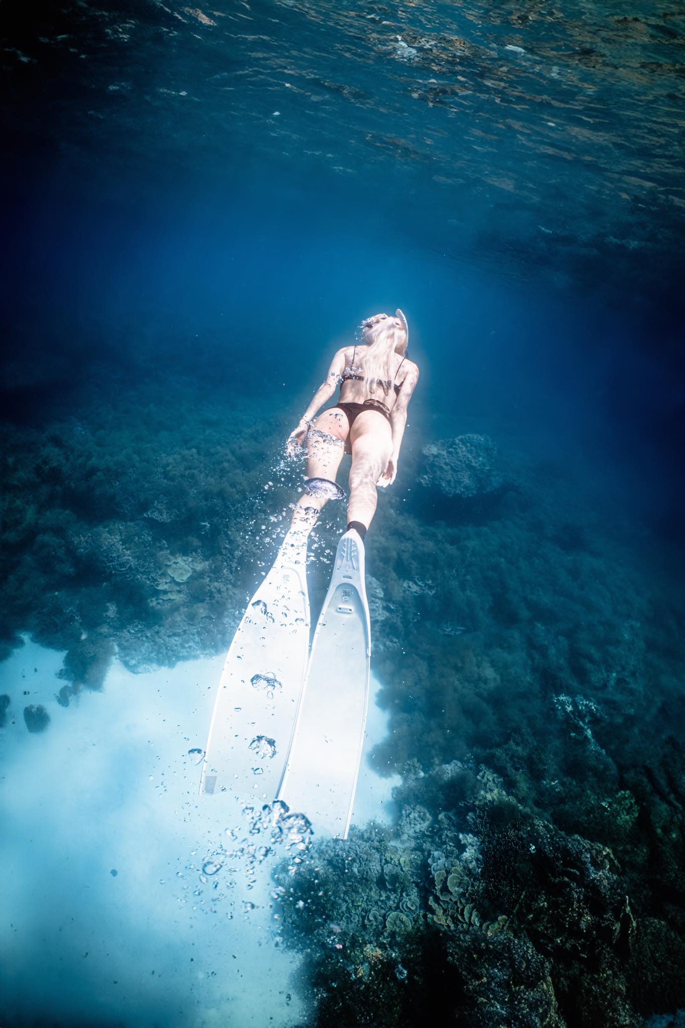 Alicia Meow Alicia Meow