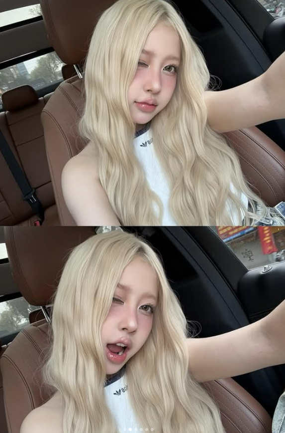 Nhan sắc được ví như Nhan sắc được ví như