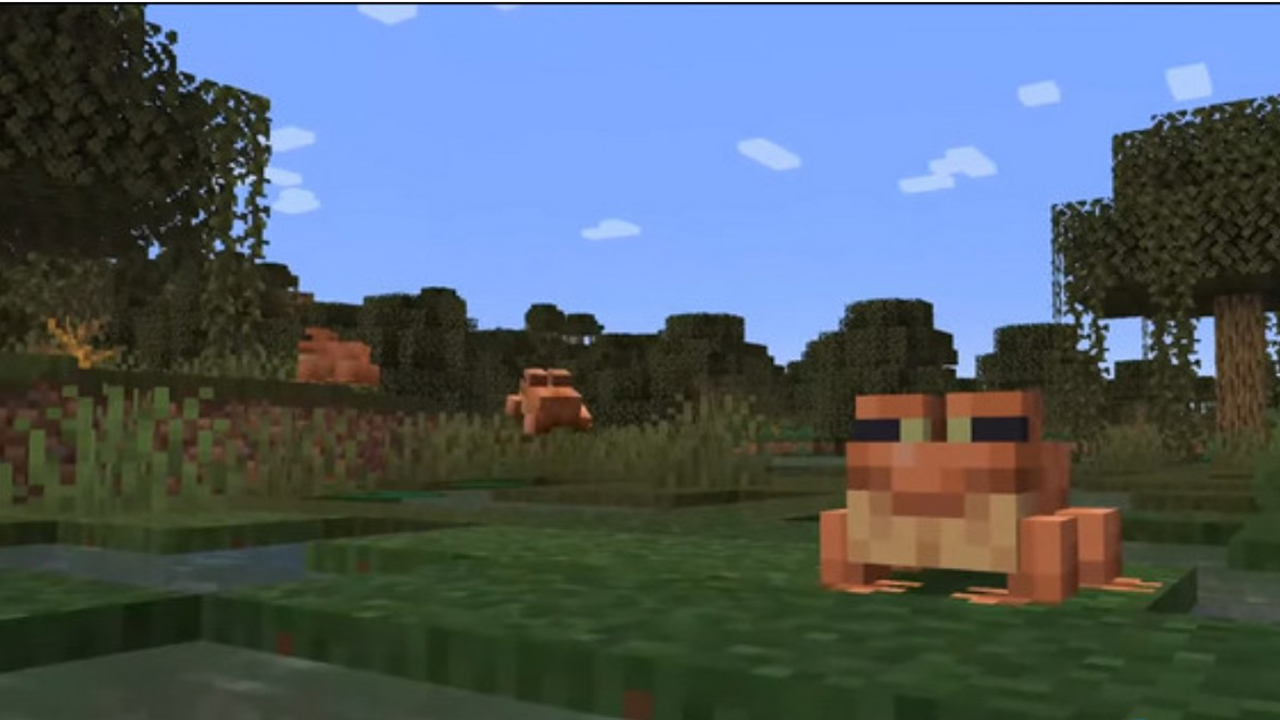 Mod ếch và nhiều hình thái của chúng