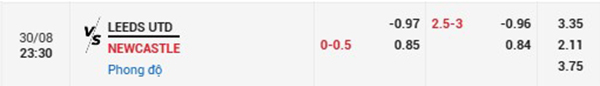 Tl Leeds United vs Newcastle