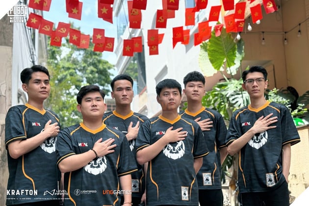 Đội tuyển MGN Vikings Esports