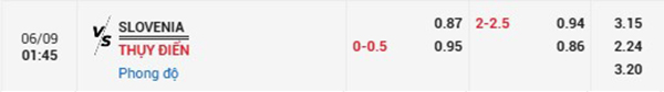 TL Slovenia vs Thụy Điển