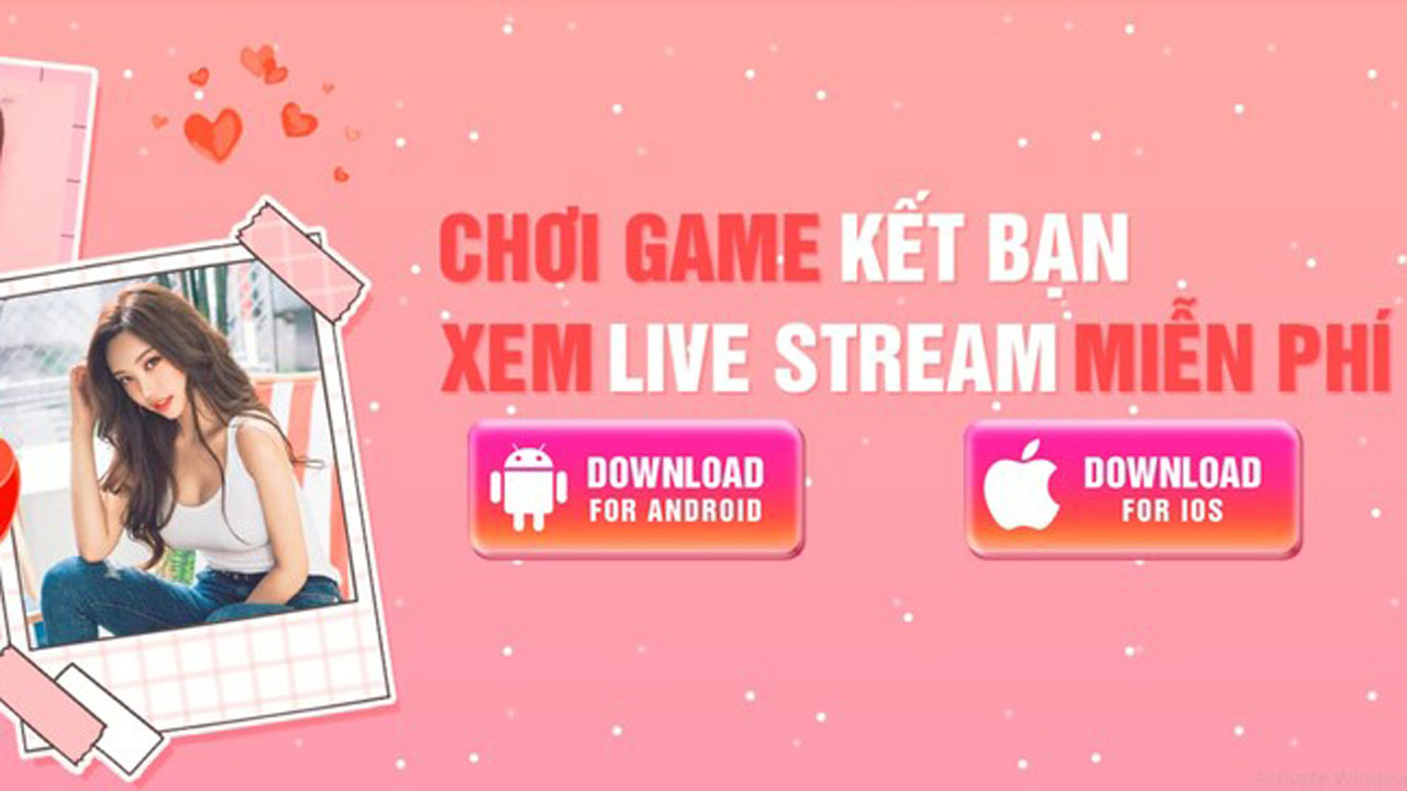 tài khoản 444 live